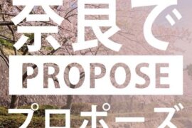 奈良のプロポーズスポット10選と超人気の婚約指輪・プロポーズリング￥79,800