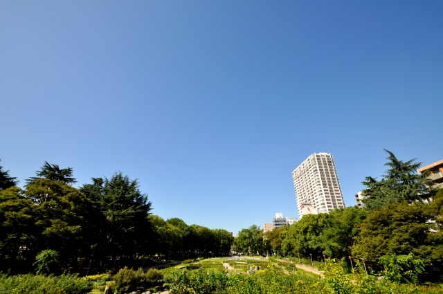 公園でプロポーズ靭公園