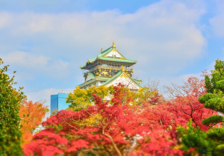 公園でプロポーズ大阪城公園