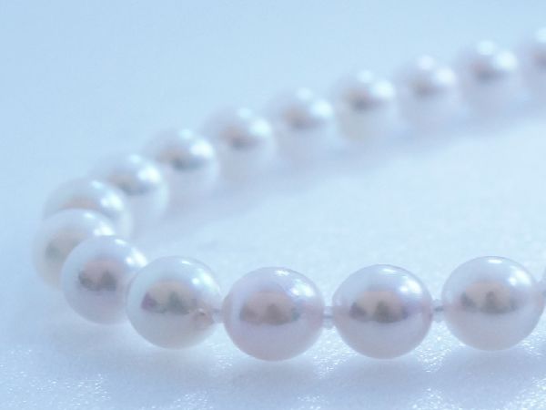 garden姫路で取り扱いのある真珠「あこや本真珠」