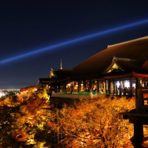 人気記念日プロポーズスポット　岡山後楽園